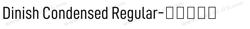 Dinish Condensed Regular字体转换